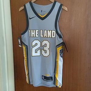 LeBron James Nike Aeroswift The Land Jersey sz 40